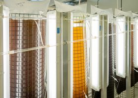 Instrumented stainless-steel fermentation vessels in the Meridian pilot hall
